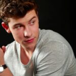 Shawn Mendes: Pop Heartthrob and Stadium Swagger Shawn Mendes: Pop Heartthrob and Stadium Swagger