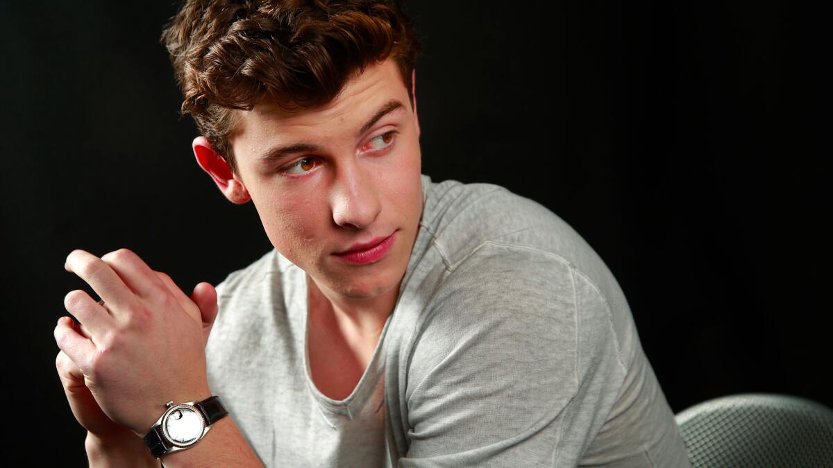 Shawn Mendes: Pop Heartthrob and Stadium Swagger